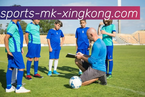 星空体育官网APP 高清赛事图